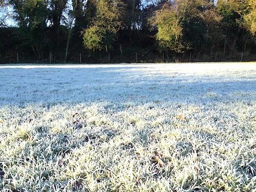 Frost on Sudbury Meadows