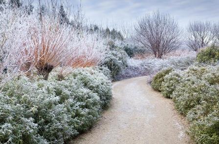 Winter Garden at Anglesey Abbey © NT Images - Marianne Majerus