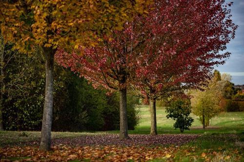 Foxfield Country Park, courtesy of Grange Park Parish Council 