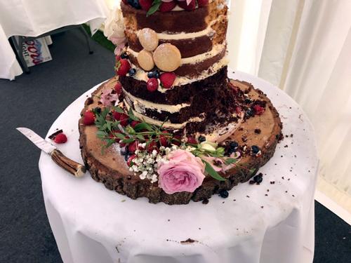 One wedding, one dog, two cakes!