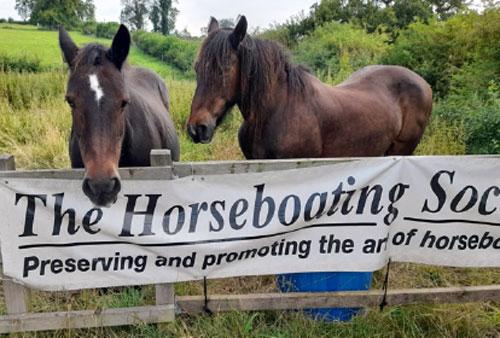 Come and meet Bonny and Bilbo, Britain’s most widely travelled boathorses on the canals. See them being harnessed up. Hear many “Short Tales about Long Tails” as Sue Day tells of adventures on her travels over 40 years with horsedrawn boats on canals. 