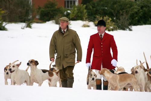 Huntsman Mick Wills right in his 16th season with the Grafton Hunt leads the hounds at Whittlebury Golf Club this morning