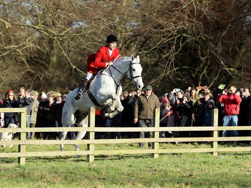Mick Wills, Huntsman, now in 21st season at the Grafton Hunt leads the hunt away