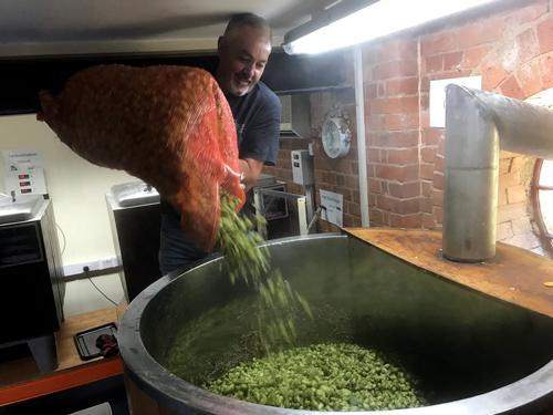 Head Brewer, John Evans, brews with fresh green hops, to produce a seasonal favourite, Fresh Hop, ready for the Beer Festival!