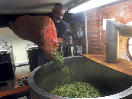 Towcester Mill's Green Hop ale is made with fresh hops and will be available in the Tap Room during National Cask Ale Week