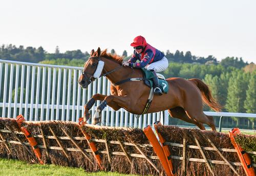 Jockey Vicky Wade in full flow with Gentleman Farmer en route to victory in the 2m 3f handicap hurdle at Towcester on Monday evening... Picture by David Yanez.