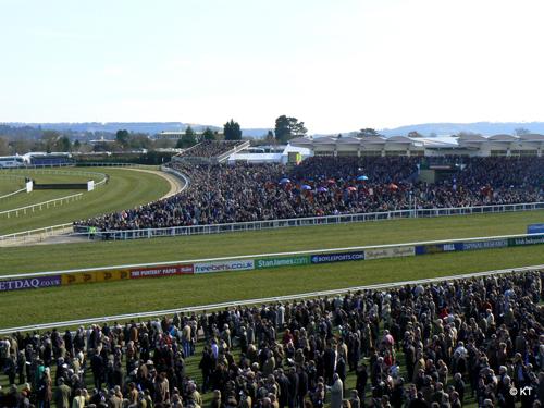 As the biggest National Hunt horse racing meeting on planet Earth, the eyes of the sporting world are fixed on the Cheltenham Festival for four days every March