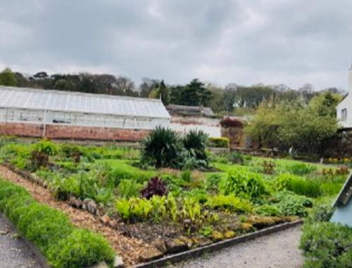 Gardens Volunteers Wanted to Keep Burton Hall Gardens Looking Their Best
