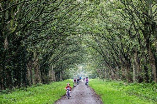Hundreds Enjoy a Soggy Summer Cycle at Leverhulme