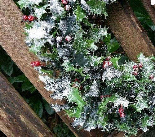 Please Remove Christmas Wreaths from Neston Cemetery