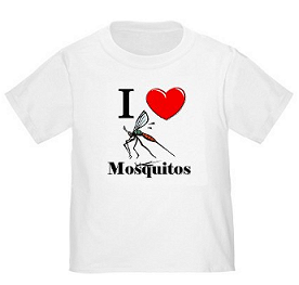 Parkgate's Mosquito Sanctuary announced..ish!