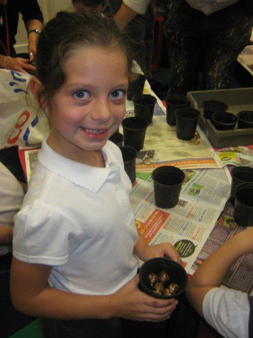 Woodfall Primary School Rotakids plant bulbs to raise funds