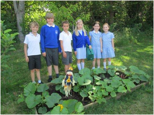 Tending to the Pumpkin Patch at Parkgate Primary School
