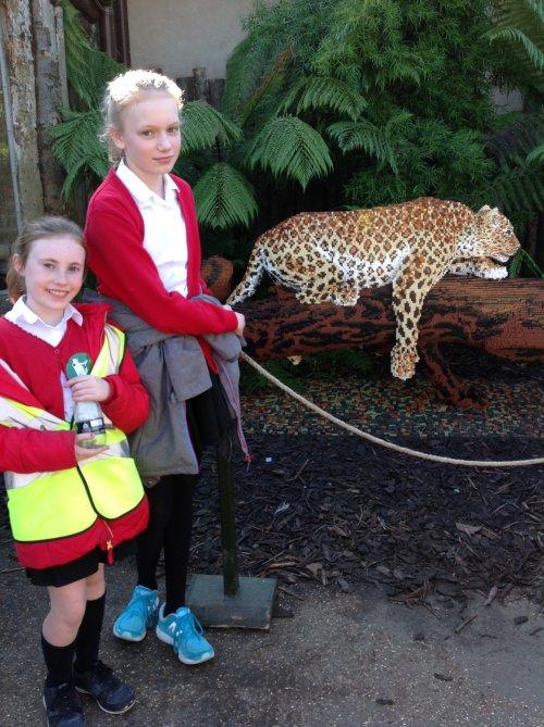 Burton Schoolchildren Enjoy a Day Out at the Zoo