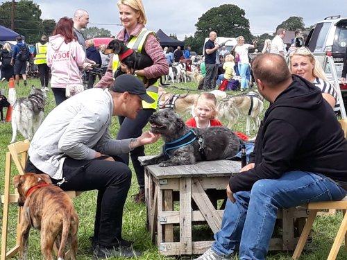 A Canine Cornucopia of Fun at Wirral Dog Fest