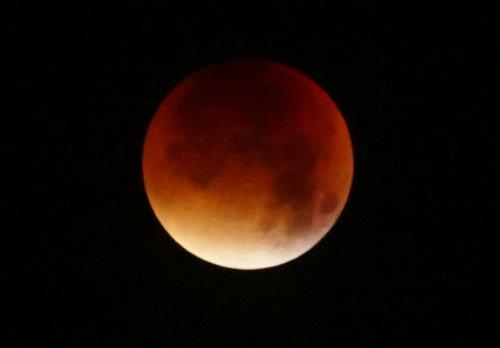 Blood moon over Neston