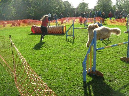 Stanney Fields Park, Neston, Fun Dog Show 2012