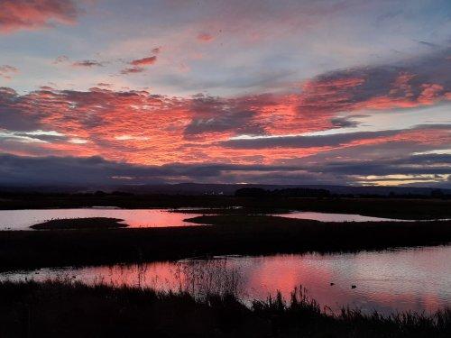 CREDIT: RSPB Burton Mere Wetlands.